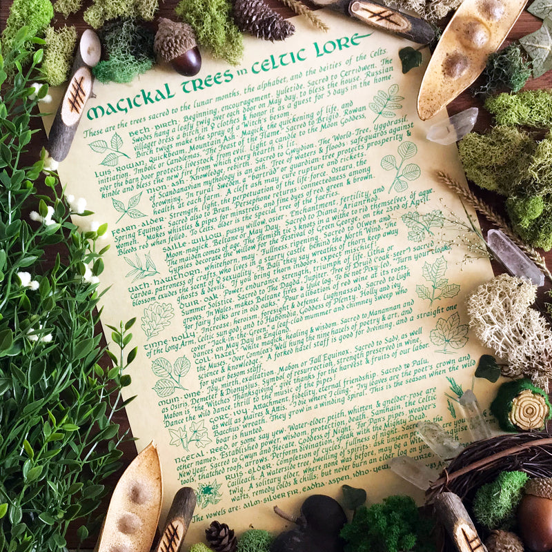Celtic Trees Parchment - Magickal Trees Of Celtic Lore - Sabbat Box