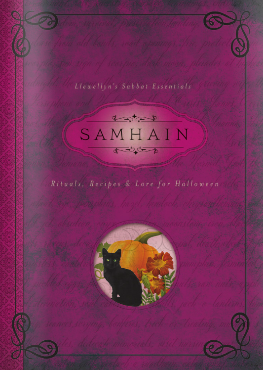 Samhain Rituals Recipes and Lore for Halloween By Diana Rajchel 