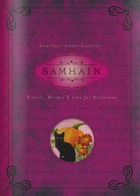 Samhain Rituals Recipes and Lore for Halloween By Diana Rajchel