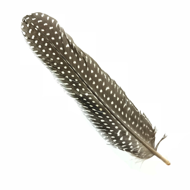 Guinea Fowl Smudging Feathers - Sabbat Box