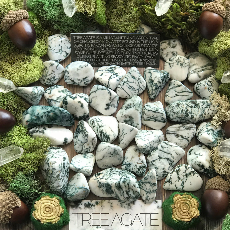 Tree Agate Gemstone Set - Sabbat Box 