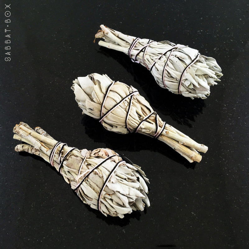 White Sage Smudge Sticks