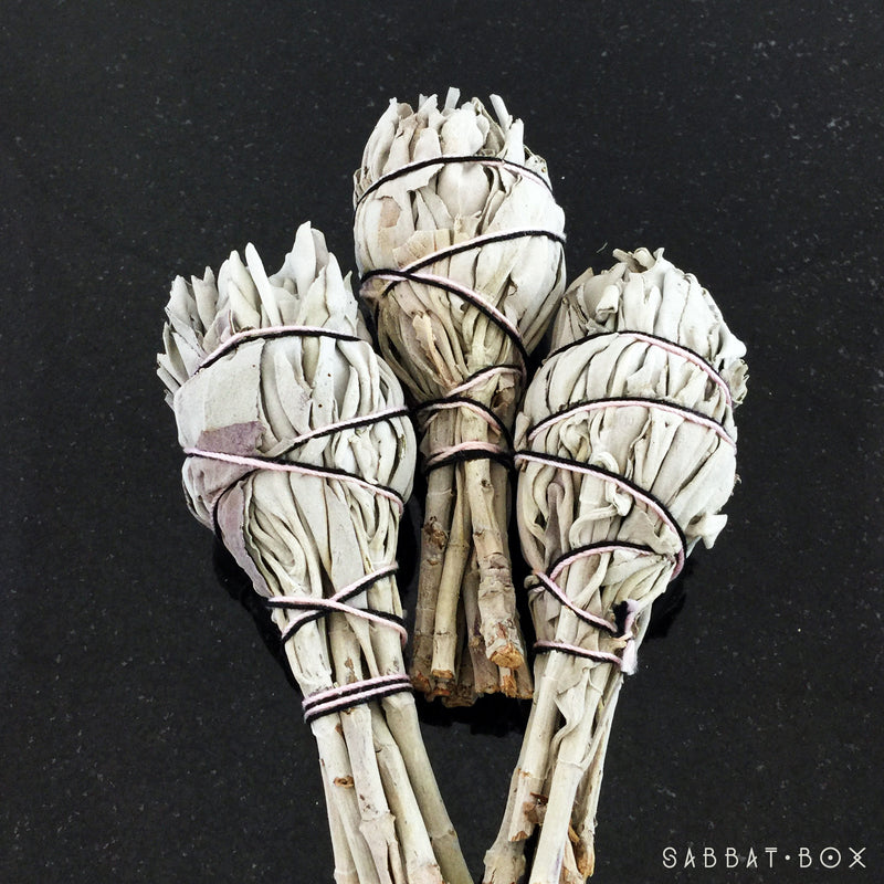 White Sage Smudge Sticks