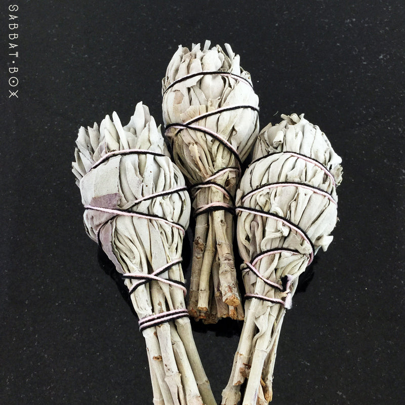 White Sage Smudge Sticks