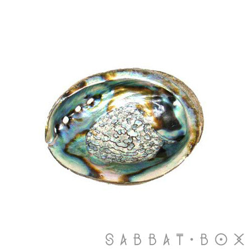Abalone Shell For Sage and Smudging Rituals - Sabbat Box