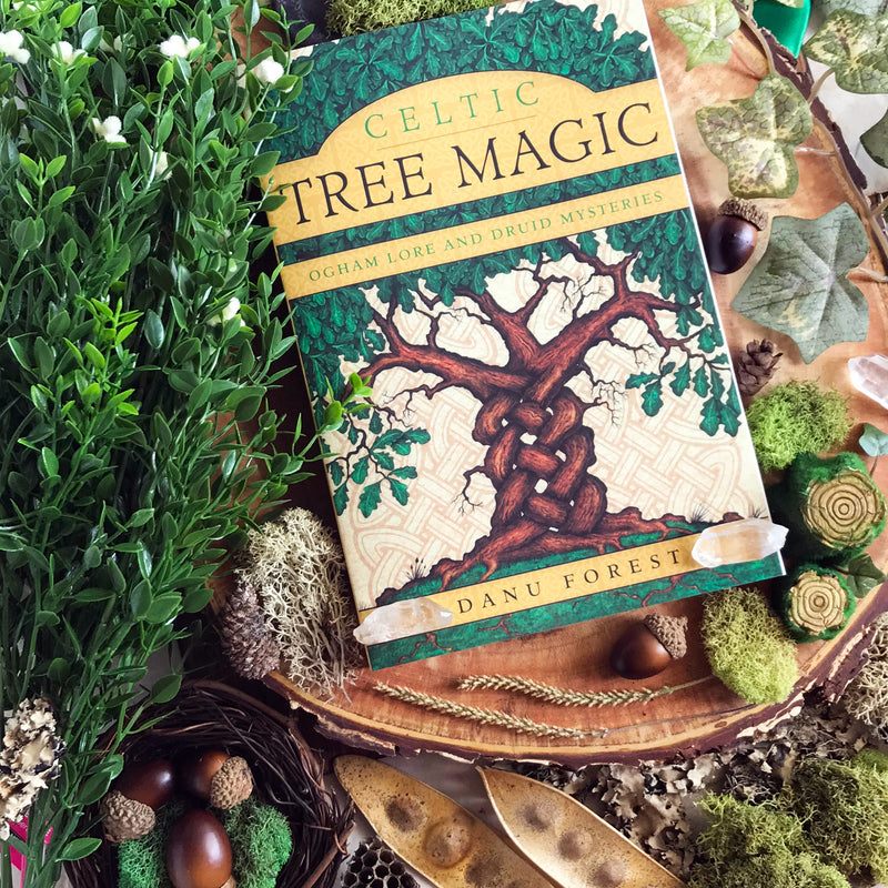 Celtic Tree Magic Ogham Lore and Druid Mysteries By Danu Fores - Sabbat Box