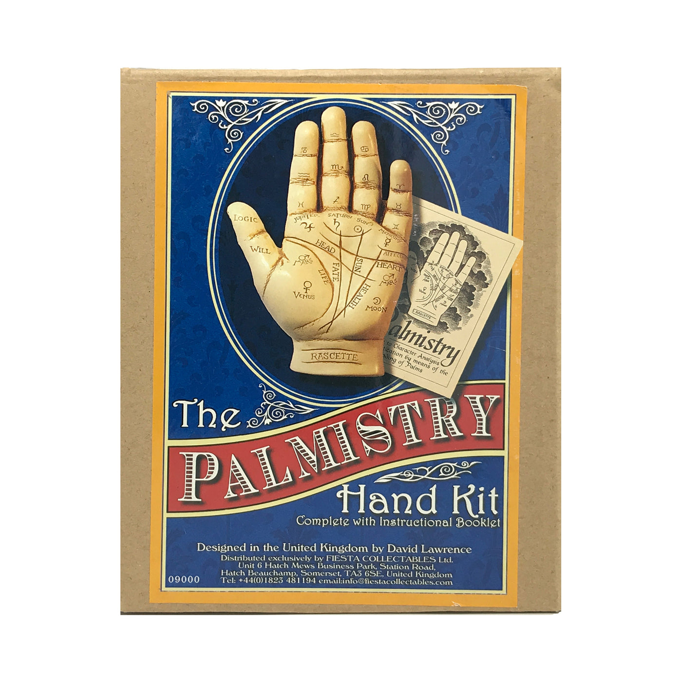 Palmistry Hand Statue Kit With Info Booklet – Sabbat Box