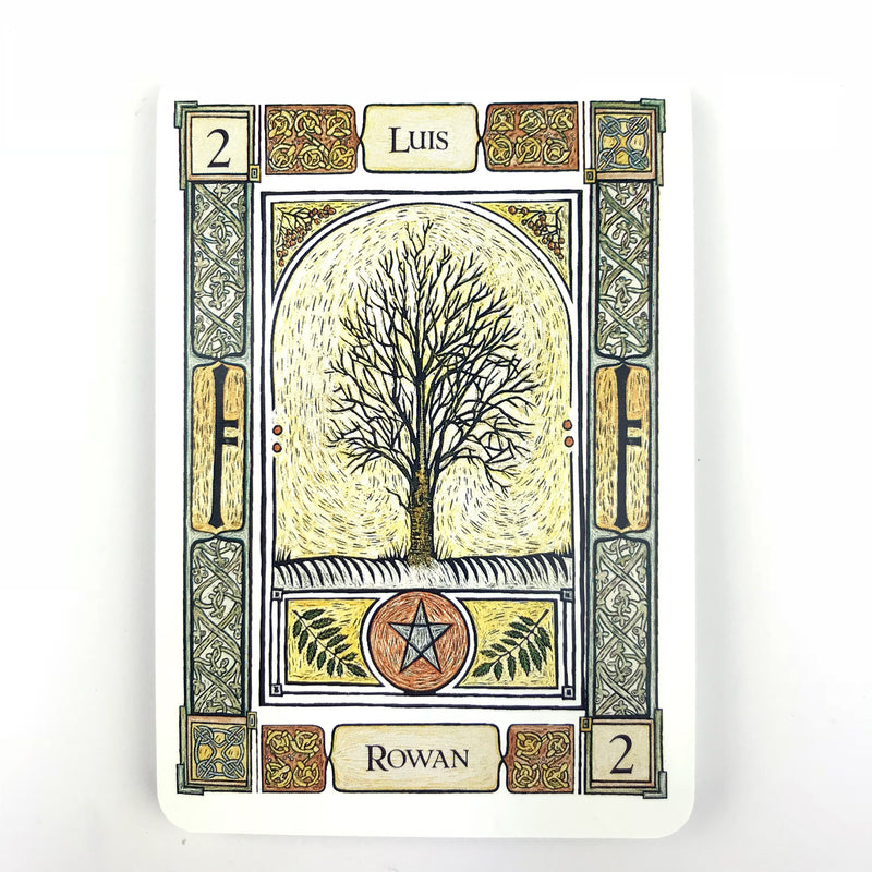 Ogham Divination Oracle Cards - Sabbat Box