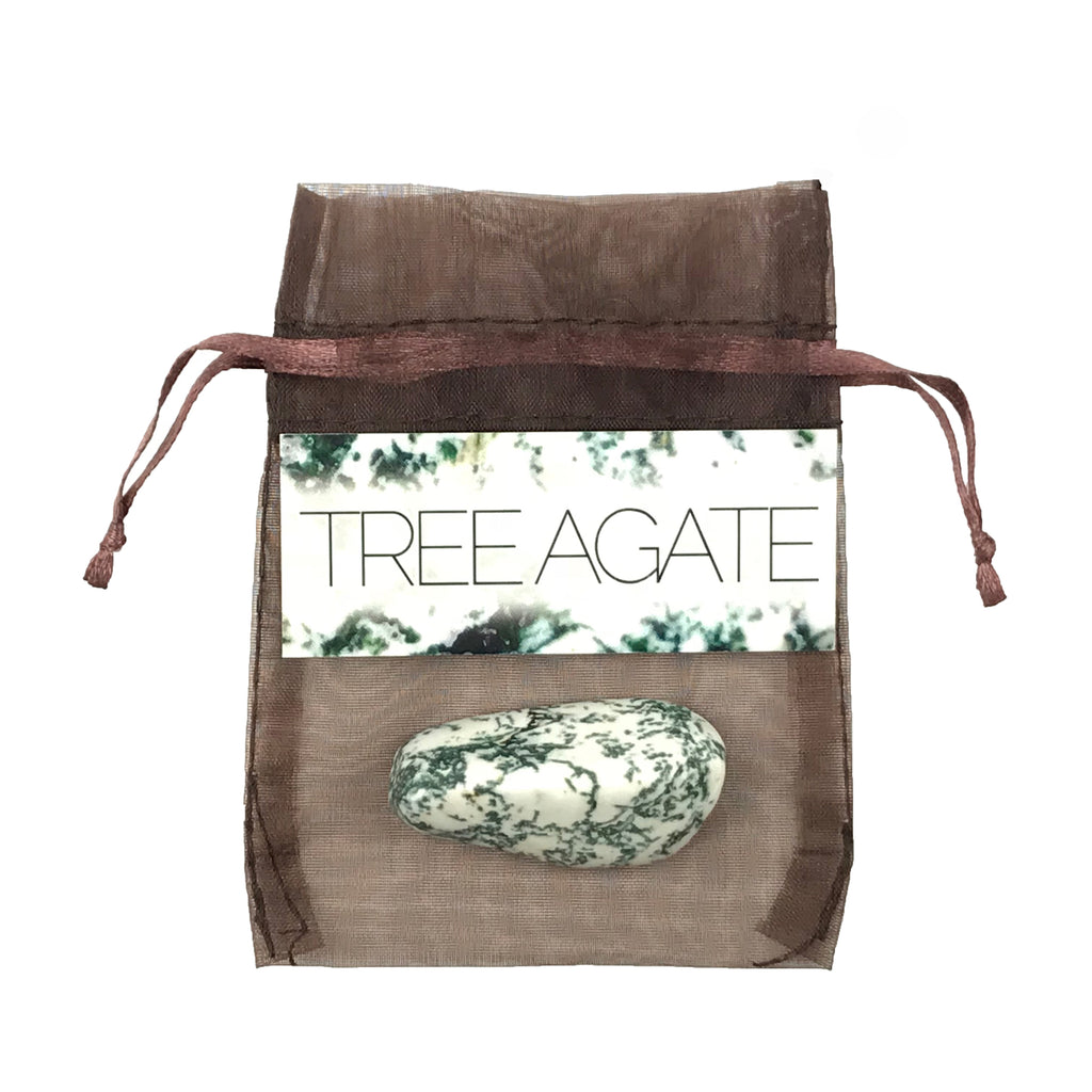 Tree Agate Gemstone Set - Sabbat Box Stones